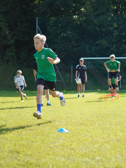 Standard - Trainingsprogramm für Schnelligkeit & Reaktion