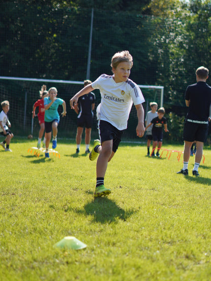 Gratis Testversion zum Speedcode Ebook