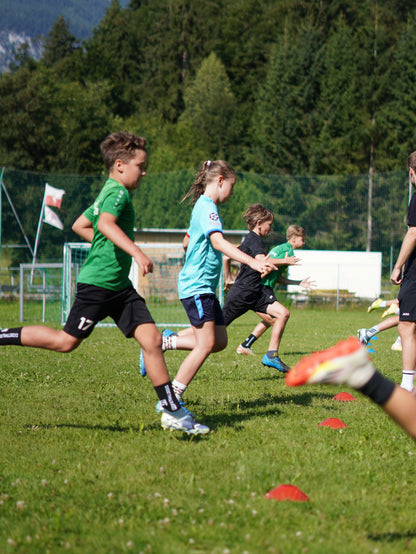 Gratis Testversion zum Speedcode Ebook