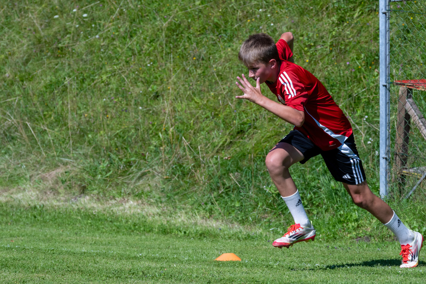 Giacomuzzi-28.jpg__PID:d1786c04-ff97-4a55-b9f8-b06437aaeabb