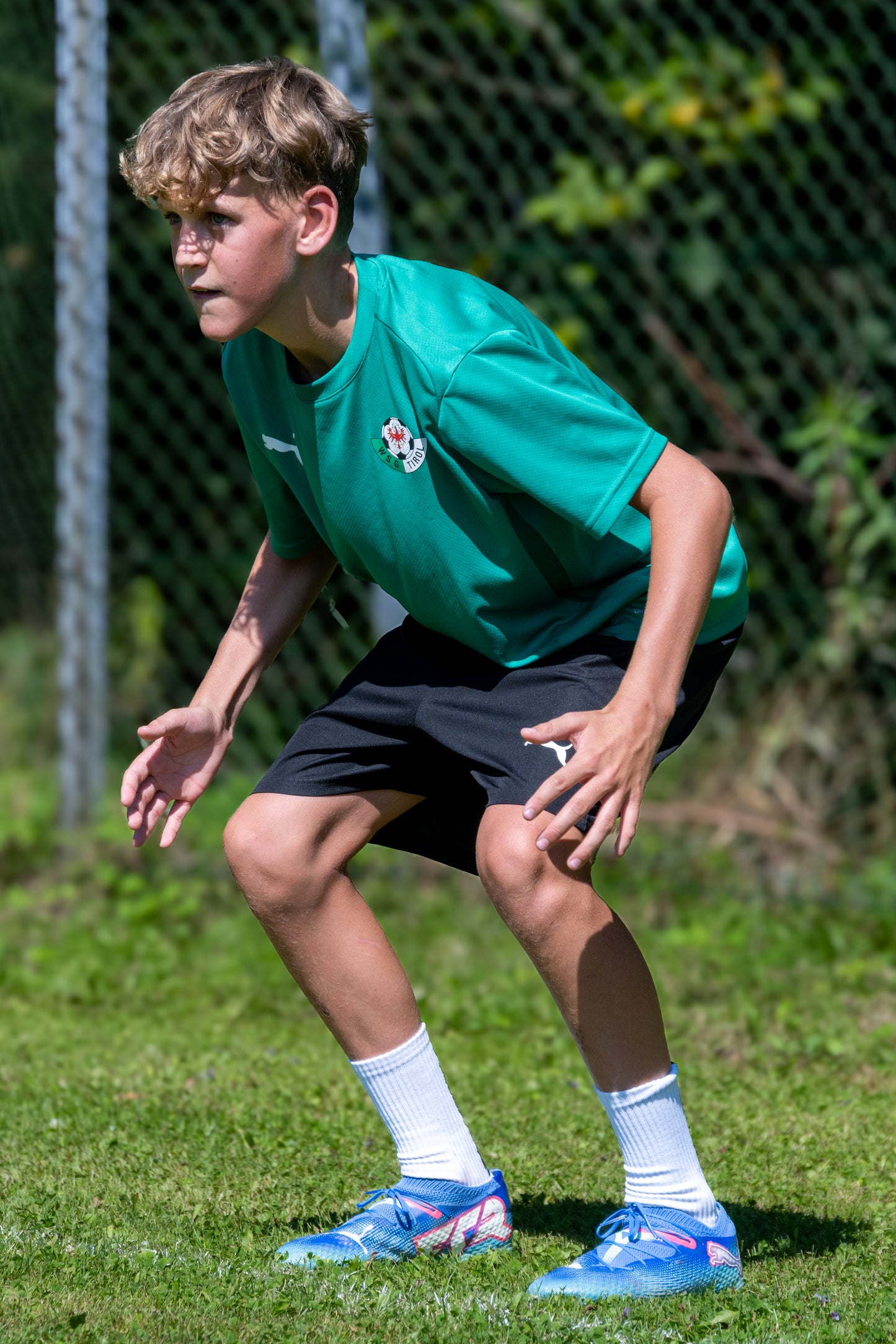 Hollaus-2.jpg__PID:86c3abe0-7b2c-422e-9b45-a20e204a871d