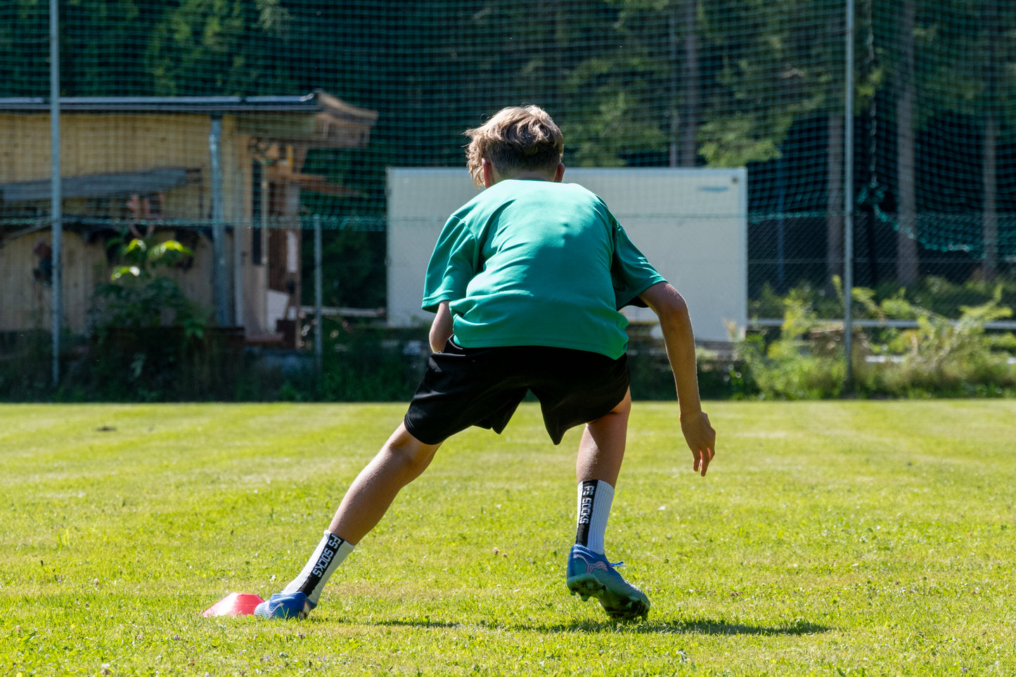 Hollaus-37.jpg__PID:34863ef4-d830-4b38-a4c4-56a056d014ee