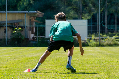 Hollaus-37.jpg__PID:9ba29deb-c7b7-474b-976d-3e510564eb83