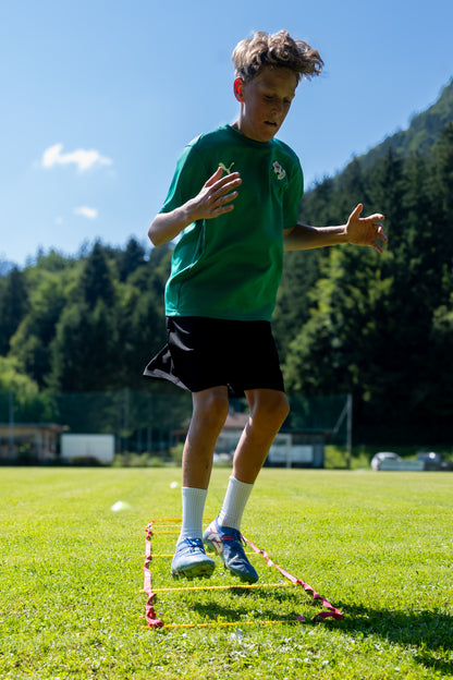 Hollaus-43.jpg__PID:470602ff-98e8-4a6a-9d8b-8e6021a301c1