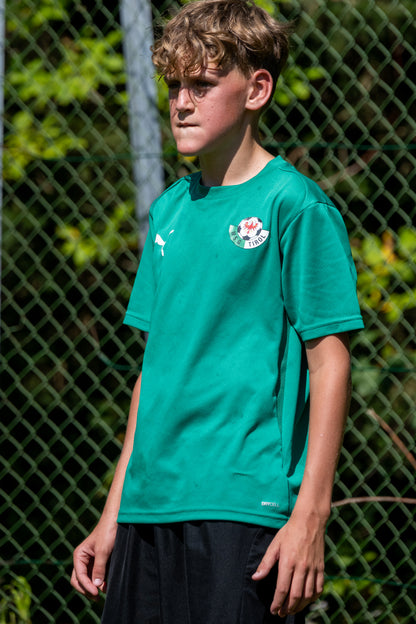 Hollaus-89.jpg__PID:ee71f8cb-d606-4a91-b698-54bb914f1b64