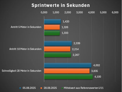 Standard - Trainingsprogramm für Schnelligkeit & Reaktion