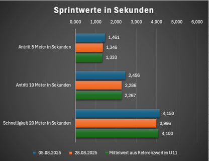 Standard - Trainingsprogramm für Schnelligkeit & Reaktion